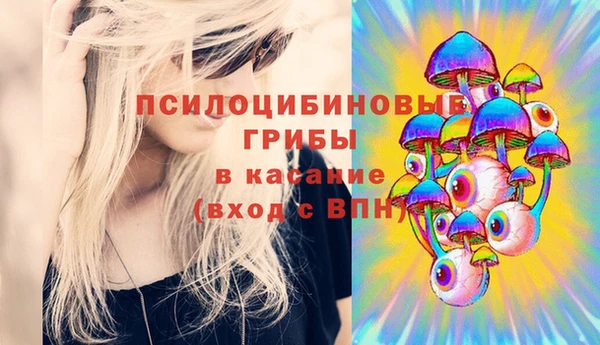 спиды Алзамай