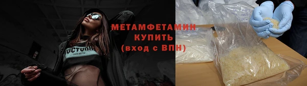 индика Абаза