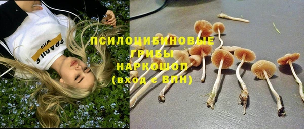MESCALINE Алексеевка