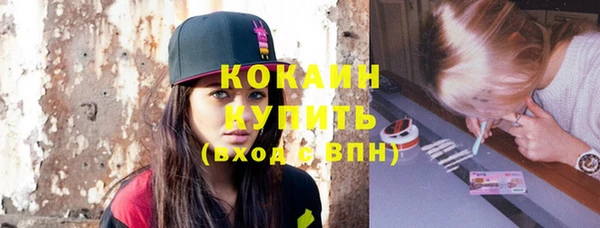 индика Абаза