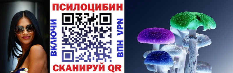 OMG ссылка  нарко площадка формула  Трубчевск  Галлюциногенные грибы Psilocybe  даркнет сайт 